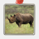 Recherche de rhinocéros ornements Nature