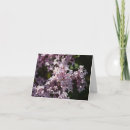 Recherche de seringue vœux cartes Rose