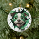 Recherche de boo boo ornements Noël