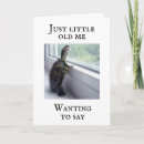 Recherche de turtle anniversaire cartes Tortue