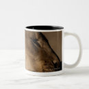 Recherche de panthera tasses Nature