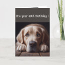 Recherche de noir labrador retriever vœux cartes Drôle