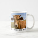 Recherche de boeufs tasses Taureau