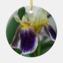 Recherche de iris ornements Floral