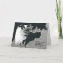 Recherche de animaux condoléances cartes Perte de chat