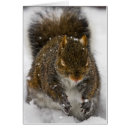 Recherche de mauvais goût cartes postales Mignon