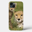 Recherche de contact coques Nature