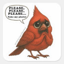 Recherche de cardinaux autocollants Cardinal
