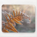 Recherche de givre tapis souris Froid