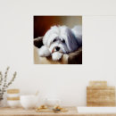 Recherche de coton art Chiot