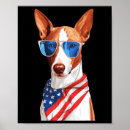 Recherche de merica posters Drapeau américain
