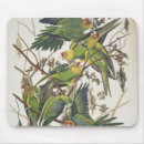 Recherche de audubon tapis souris 1829