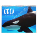 Recherche de orque calendriers Épaulard