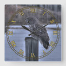 Recherche de attente posters Oiseaux