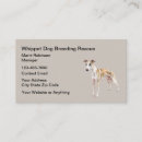 Recherche de levrier cartes visite Animal de compagnie