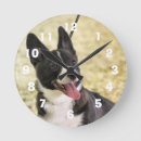 Recherche de corgi horloges Dog