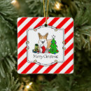Recherche de pembroke welsh corgi ornements Vacances