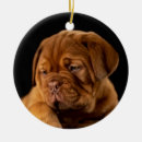 Recherche de dogue de bordeaux ornements Animal