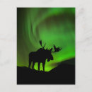 Recherche de élan cartes postales Bois