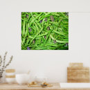 Recherche de haricot posters Légume