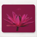 Recherche de nénuphars roses tapis souris Lis