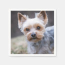 Recherche de yorkshire terrier serviettes Portrait