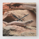 Recherche de lézards horloges Pour lui