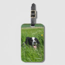 Recherche de col bagages étiquettes Dog