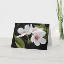 Recherche de arbre sakura vœux cartes Cerise