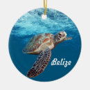 Recherche de des caraïbes ornements Pour eux