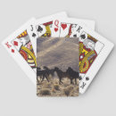 Recherche de mustang sauvage jeux de cartes Angrish bob