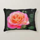 Recherche de macro coussins Rose
