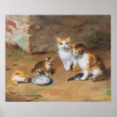 Recherche de vintage cat posters Mignon