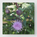 Recherche de mauvaise herbe horloges Jardin