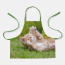 Recherche de lecture tabliers Chat