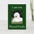 Recherche de caniches standard vœux cartes Dog