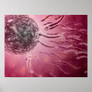 Recherche de sperme posters Illustration