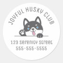 Recherche de yeux de chien autocollants Chiot