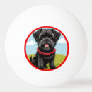 Recherche de noir balles ping pong Animal