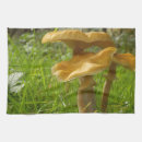 Recherche de comestible cuisine linges Nature