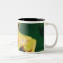 Recherche de arbre rouge tasses Animaux