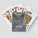 Recherche de chat jeux de cartes Photo du chat