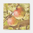 Recherche de pommier magnets Pommes