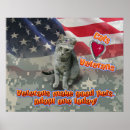 Recherche de adoption posters Chat