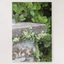 Recherche de lierre puzzles Jardin