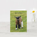 Recherche de pygmée vœux cartes Mignon