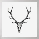 Recherche de crâne animal posters Squelette