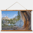 Recherche de inyo posters Galerie jaynes