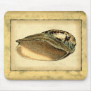 Recherche de coquillage tapis souris Coquille
