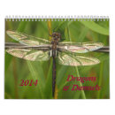 Recherche de damselflies Nature